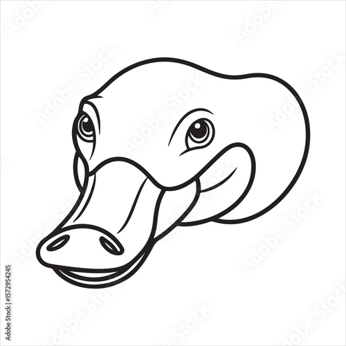 Bizarre Beauty: Exploring the Enigma of the Platypus