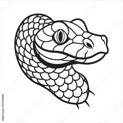 Deadly Silence: The Stealth and Power of the Puff Adder