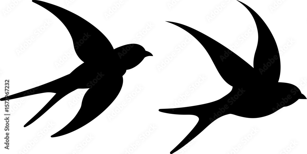 Obraz premium Flying bird vectors, Vector of Flying bird, A set of bird animal art designs, bird icon isolated