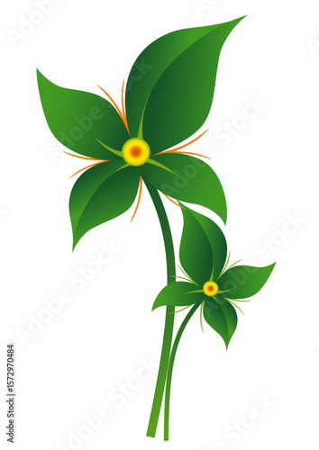 PLANTE DE LA CAMPAGNE