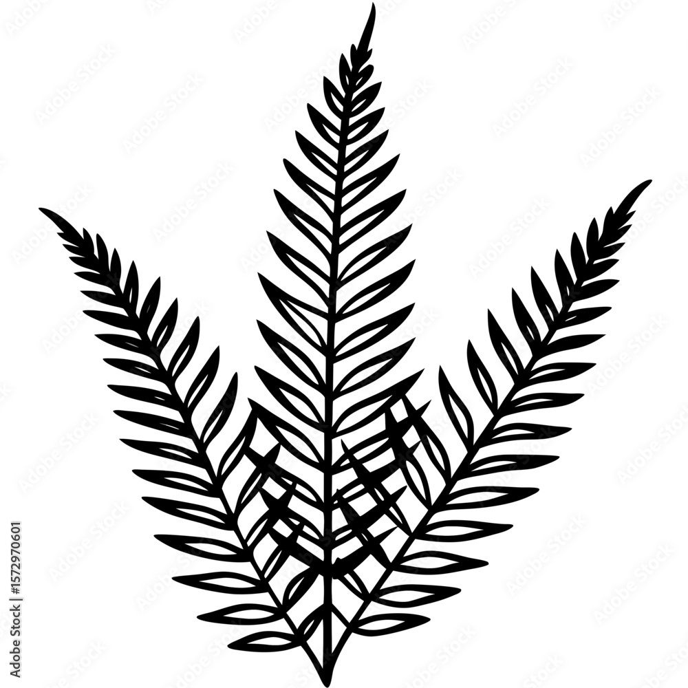 Fototapeta premium Boston Fern line art vector