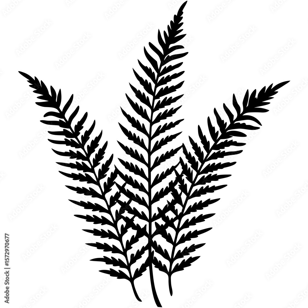 Naklejka premium Boston Fern line art vector