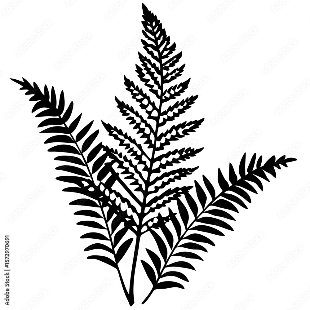 Naklejka premium Boston Fern line art vector