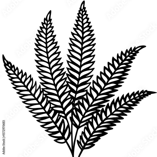 Boston Fern line art vector