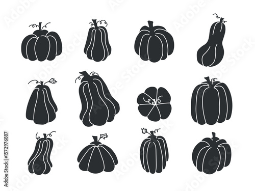 Set of hand drawn black silhouette pumpkins and gourds in various shapes and styles on a white background