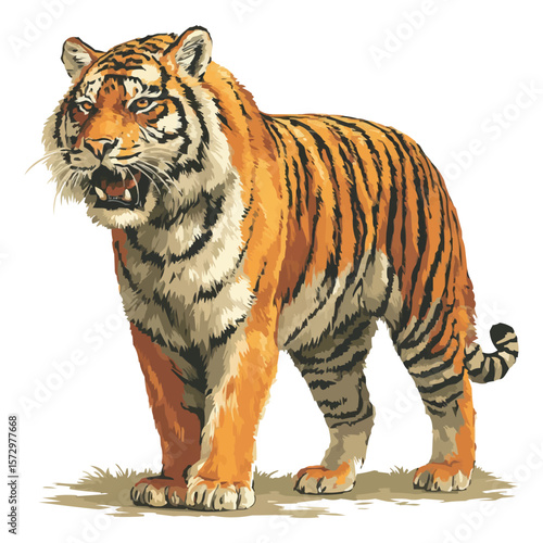 Bengal Tiger Standing – Bold Jungle Cat