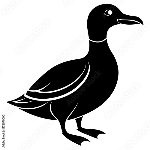 duck vector illustration