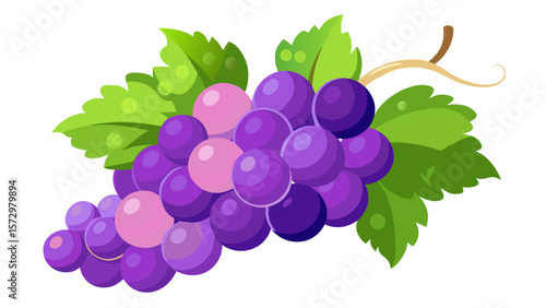 A bunch of ripe purple grapes with green leaves and a tendril