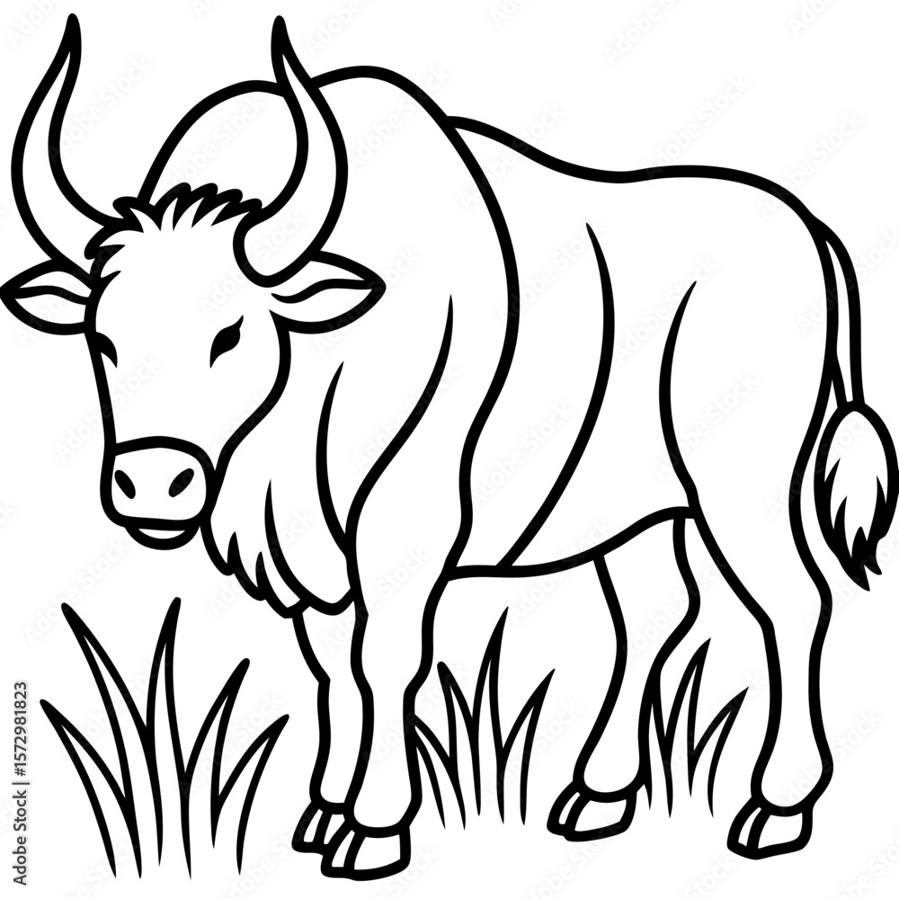 Fototapeta premium Buffalo Grass line art vector