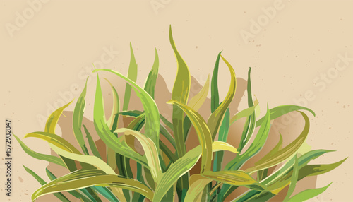 seaweed kelp plant group isolated on transparent background, set of fresh young kelp, cutout png
clip, curve, group, transparent, aquatic, cut-out, collection, isolated, ocean, set,