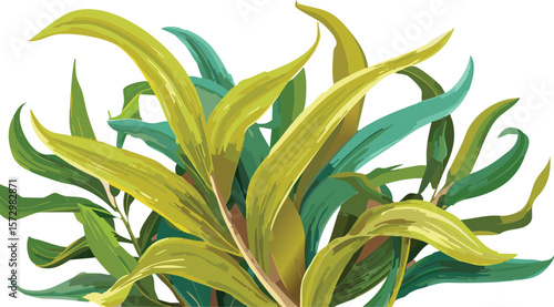 seaweed kelp plant group isolated on transparent background, set of fresh young kelp, cutout png
clip, curve, group, transparent, aquatic, cut-out, collection, isolated, ocean, set,