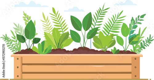 wooden garden planter box with green tropical plants, garden bed filled by fresh plants. cutout.planter, green, pot, leaf, fresh, garden, herb, herbal, freshness, isolated, white, plant, clip, eco, 
