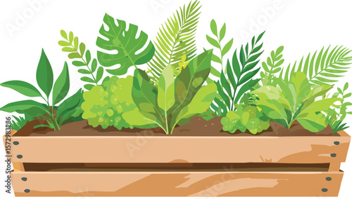 wooden garden planter box with green tropical plants, garden bed filled by fresh plants. cutout.planter, green, pot, leaf, fresh, garden, herb, herbal, freshness, isolated, white, plant, clip, eco, 