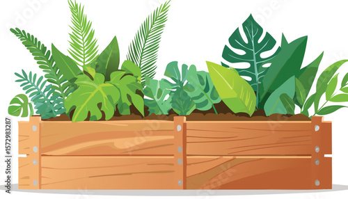 wooden garden planter box with green tropical plants, garden bed filled by fresh plants. cutout.planter, green, pot, leaf, fresh, garden, herb, herbal, freshness, isolated, white, plant, clip, eco, 