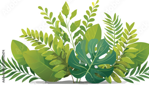 seaweed kelp plants isolated on transparent background, cutout png.leaf, grass, flora, beauty, tree branch, green, underwater, cut-out, isolated, ocean, white, algae, kelp, nature, seaweed,vector.