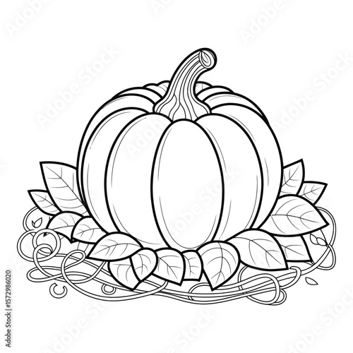 A straightforward line drawing of a pumpkin in black and white
