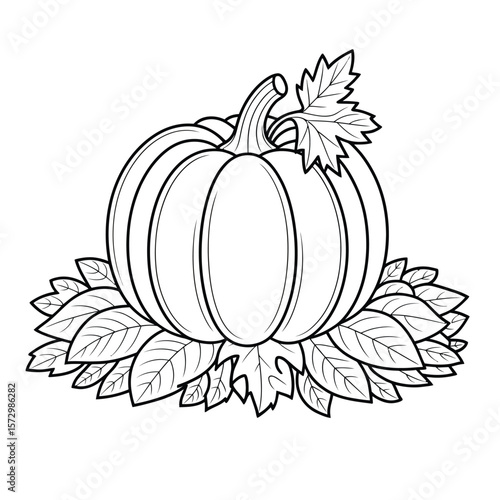 A straightforward line drawing of a pumpkin in black and white