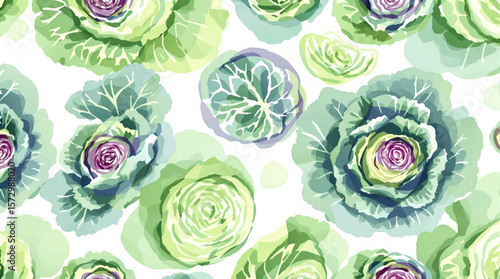 Vibrant cabbage illustration showcasing layered leaves and soft gradients, ideal for kitchen decor and packaging