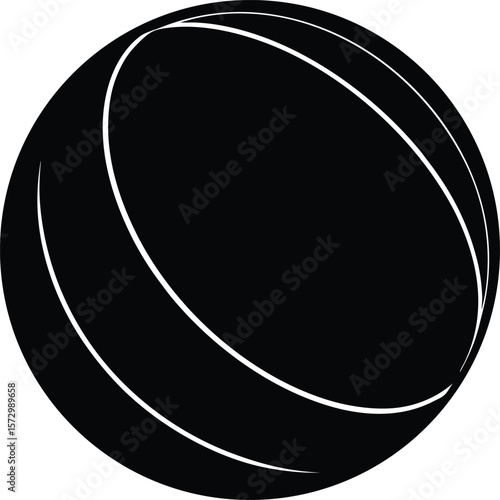 Slam Ball Silhouette Vector Art Illustration