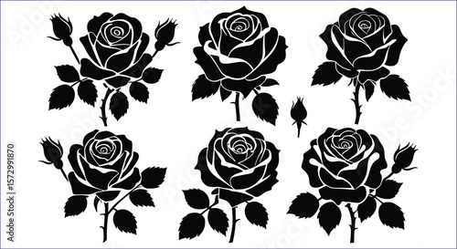 Black rose silhouettes with white outlines on white flower