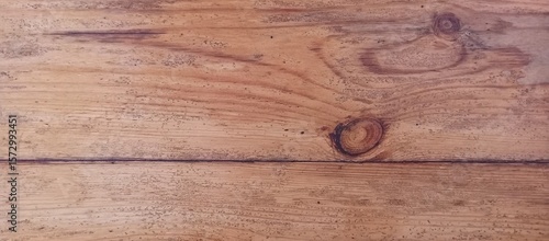 Wallpaper Mural Classic Brown Pine Wood Texture With Knots Torontodigital.ca