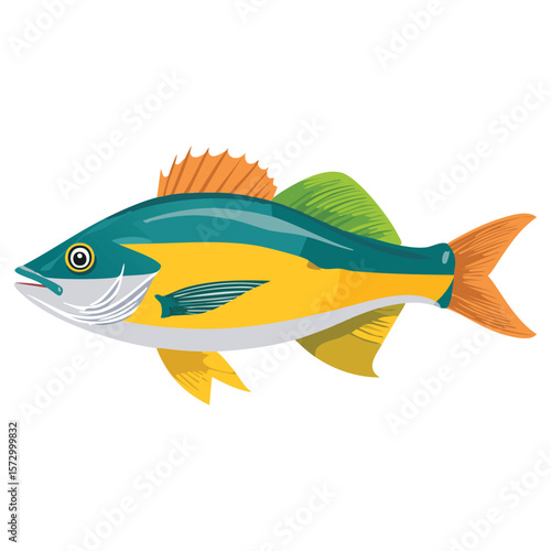 Bahamian Ocean Dweller
