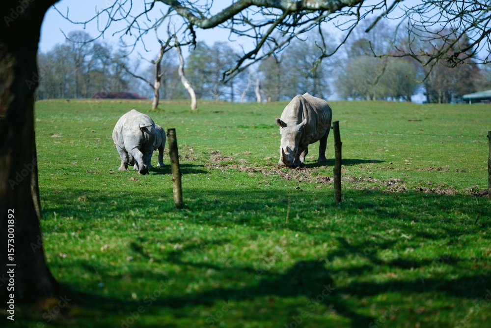 Fototapeta premium selection of photos i took.