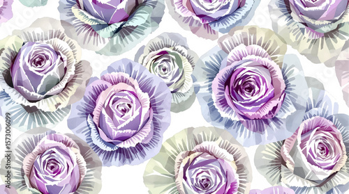 Watercolor background pattern cabbage on white background