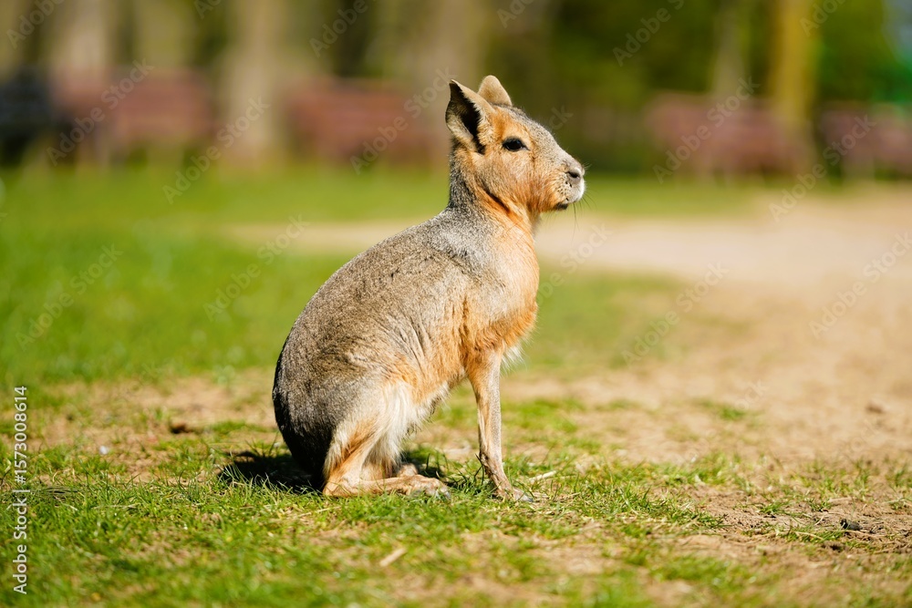 Obraz premium Selection of photos i took