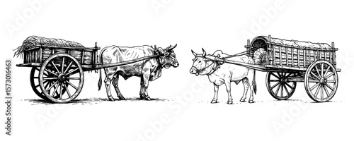 Traditional Bullock Cart (Gorur Gari) - Vintage Illustration Set