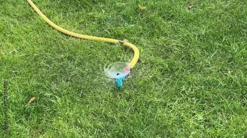 green grass and water, watering the grass, fresh green lawn	
