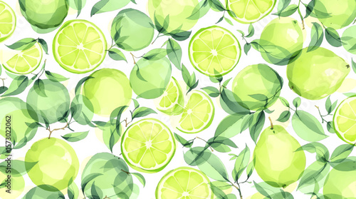 Food illustrations. Lime. Illustration for postcards, books, menus or fabric.