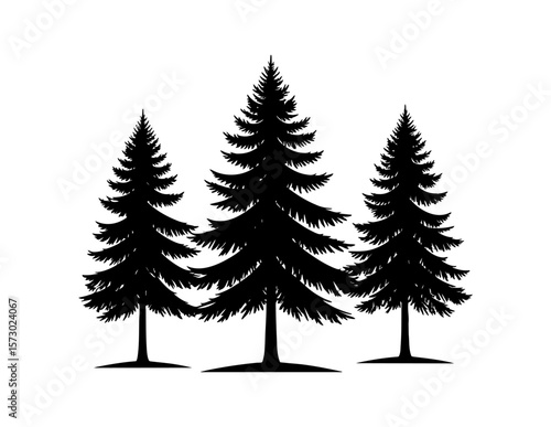 Three black silhouette pine trees on white suitable for winter designs, holiday cards, naturethemed projects, scenic backgrounds, and Christmas prints.
