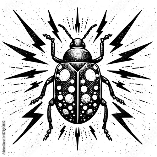 black beetle vector illustration