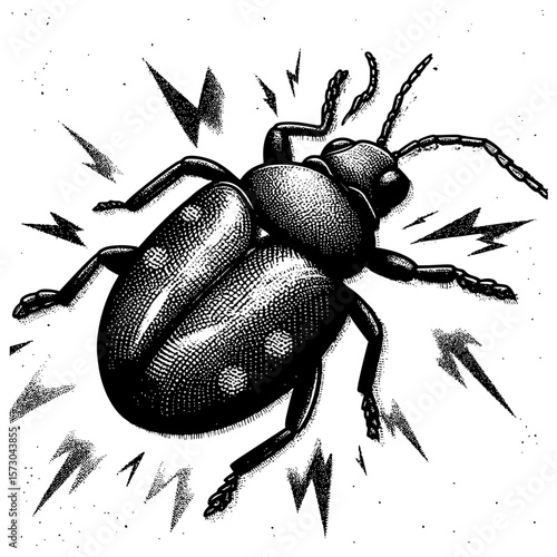 black beetle on white background