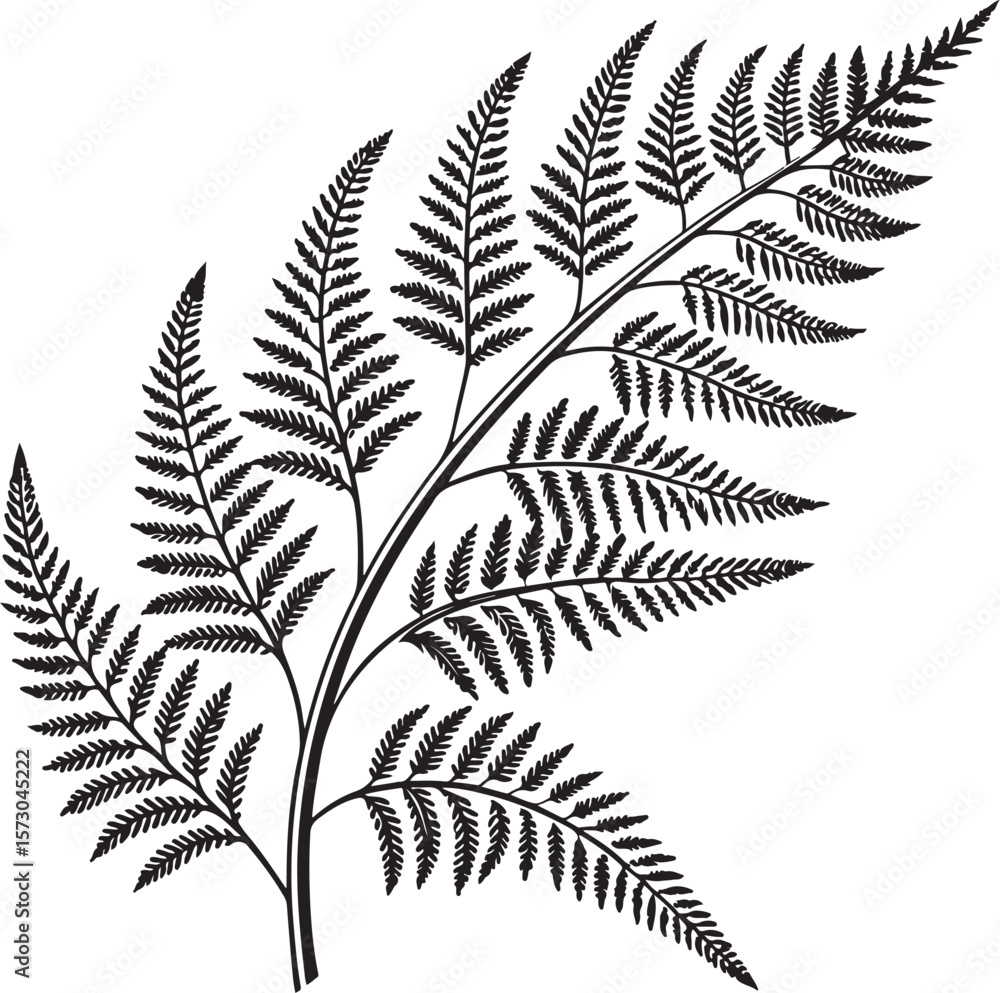 Naklejka premium fern leaves vector illustration transparent background