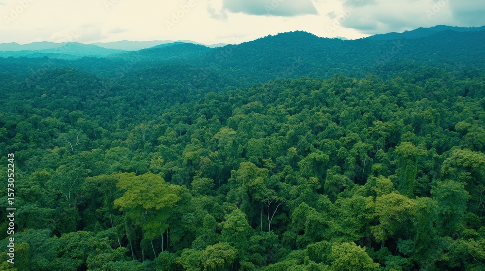 Obraz premium Expansive Aerial View of Lush Green Rainforest Canopy with Mountains in Background, Showcasing Diverse Ecosystem and Vibrant Nature Landscape