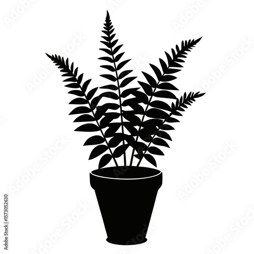 plant in pot