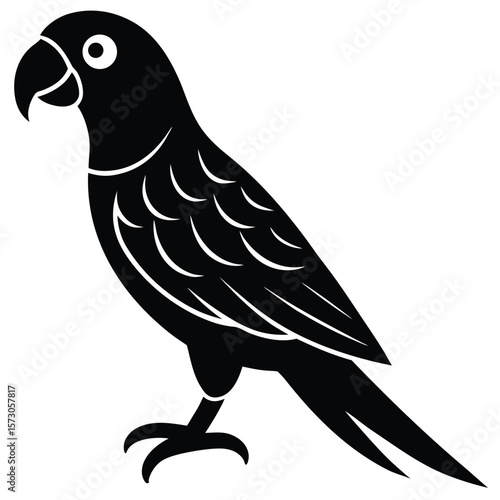 black parrot perches gracefully, feathers neatly implied, and the background remains transparent