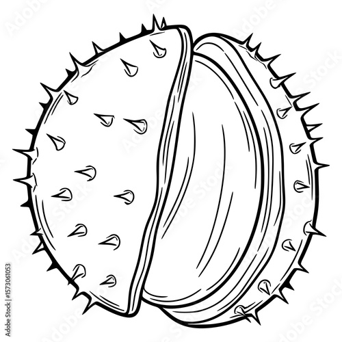 Tableau sur toile A detailed vector illustration of a cracked open chestnut husk, showcasing its spiky exterior and the smooth, segmented interior of the nut