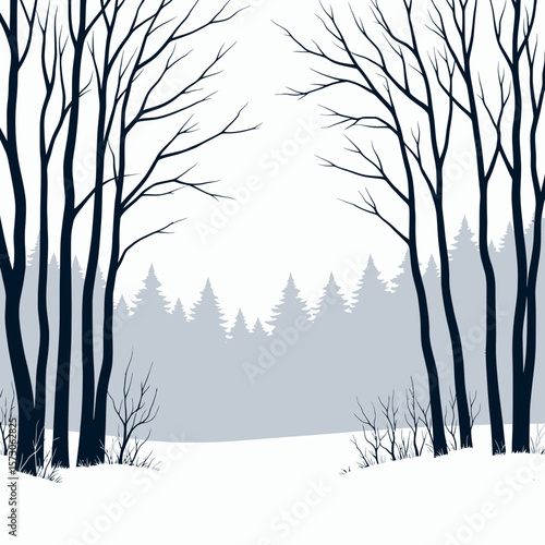 Abstract winter forest scene with bare trees and evergreen background  