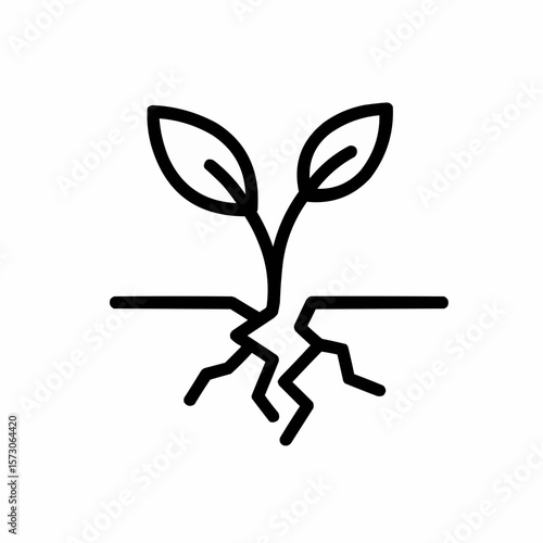 Small plant growing through cracked ground. Hope metaphor.