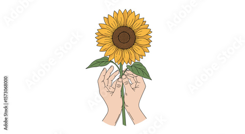 Holding a vibrant yellow sunflower with green leaves in cupped hands showing appreciation and nature's beauty