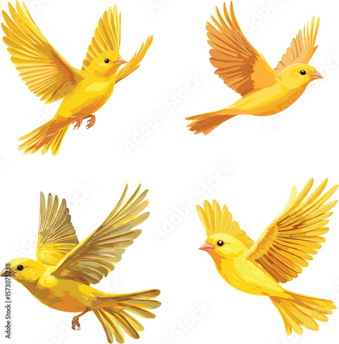 Cute Canary bird flying vector style on white background