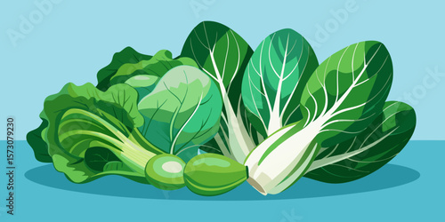 Fresh Green Vegetables Bok Choy Napa Cabbage Lettuce