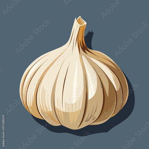 Single bulb of garlic illustration on dark background