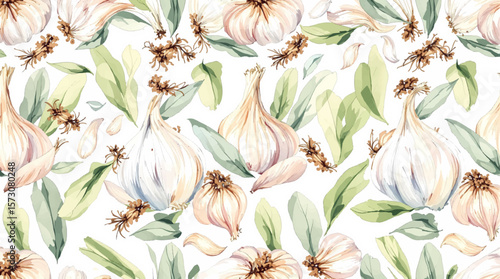 Watercolor background pattern garlic on white background
