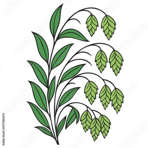 Texas Native Inland Sea Oats