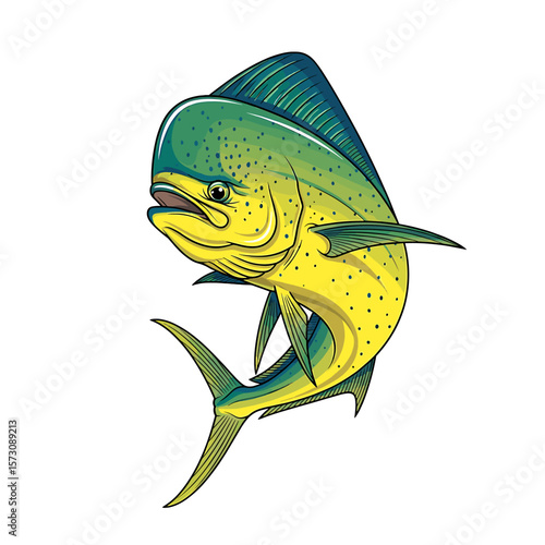 Illustration of a vibrant mahi-mahi fish with detailed fins and scales, set against a clean white background.