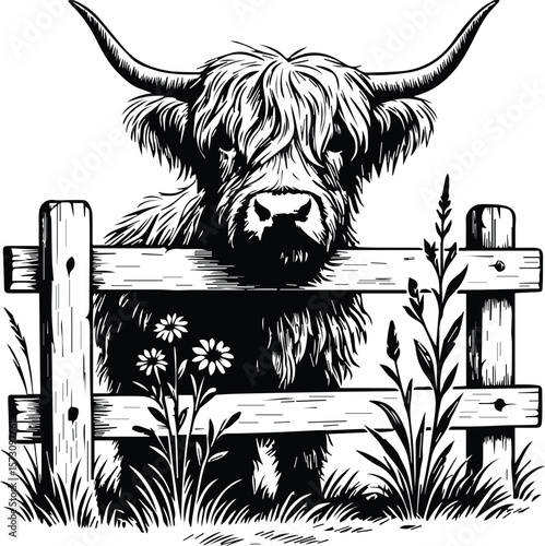 Highland Cow Peeking from Rustic Wooden Fence Vector – Farmhouse Laser Engraving File for Signs and Country Decor